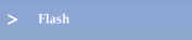 Flash